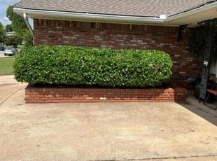 Bush Trimming by Joshua Cox for Joni J. in Oklahoma City, OK