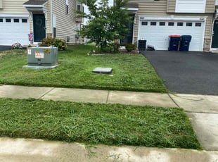 Marcus P.'s Yard Cutting service result