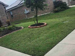 Weeding by Ricardo Soto for Edward B. in Princeton, TX