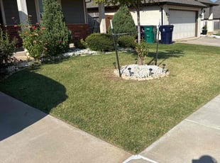 Larry N.'s Lawn Mowing service result