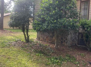 Bush Trimming by Chrishun Webber for Ronald B. in Marietta, GA