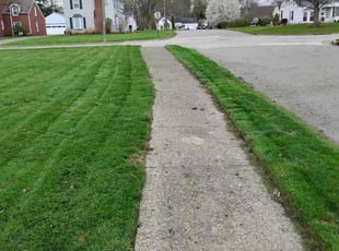 Regina H.'s Lawn Service service result