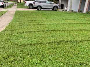 Brandon S.'s Lawn Mowing service result