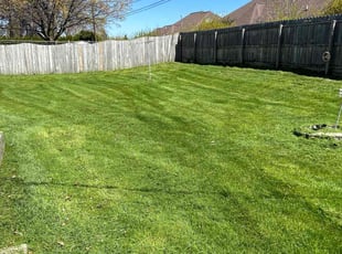 Janice D.'s Lawn Care service result