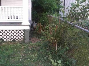 Bush Trimming by Marcus Grimes for Jaydon S. in Dayton, OH