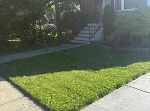 Lynn S.'s Lawn Maintenance service result