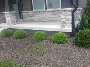 Bush Trimming by Julio Almestica for Jay W. in Lee's Summit, MO