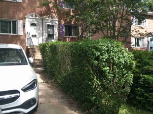 Bush Trimming by Tyrone Wilkins for Brooke D. in Takoma Park, MD