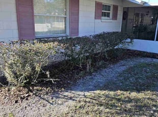 Bush Trimming by Christopher Roberts for Connie D. in Orlando, FL