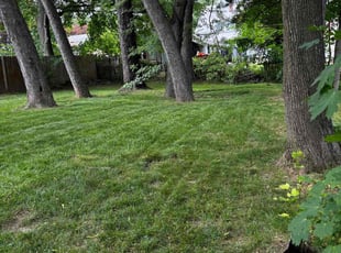 Rob M.'s Lawn Maintenance service result