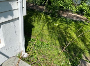 Leaf Removal by Tyree Jackson for George I. in Cincinnati, OH