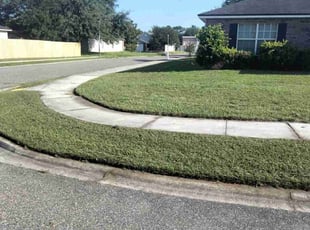 Mary H.'s Yard Cutting service result