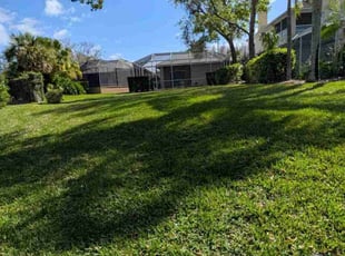 Henry N.'s Lawn Care service result