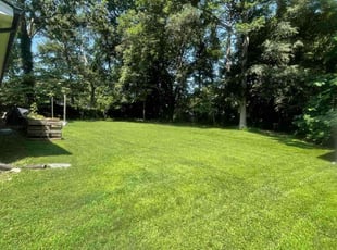 Gwen G.'s Lawn Service service result