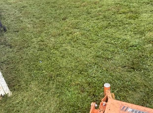 Kelly K.'s Lawn Mowing service result