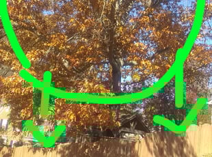 Mulching by Charles Striedinger for Brad R. in Marietta, GA