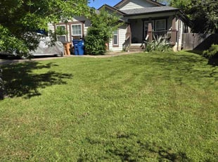 Robert R.'s Lawn Mowing service result