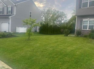 Michael M.'s Lawn Care service result