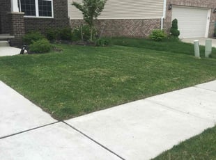 Heidi N.'s Lawn Care service result