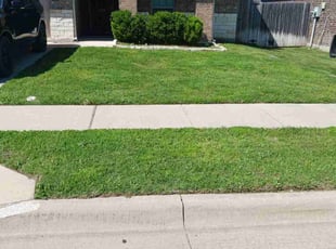 Belinda T.'s Lawn Service service result