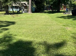 Phil B.'s Lawn Care service result