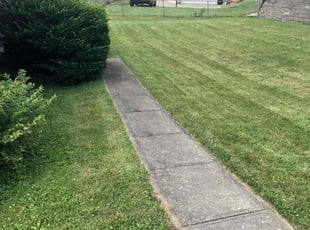 Cleanups by Kareem Bonner for Ken D. in Florence, KY
