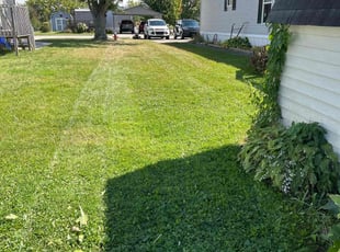 Melissa S.'s Lawn Mowing Service service result