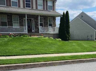 Suzanne D.'s Lawn Service service result