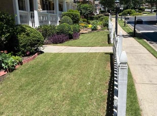 Soonchun M.'s Lawn Service service result