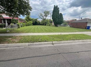 Dionna S.'s Yard Cutting service result