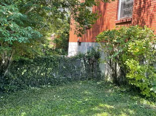 Bush Trimming by Brad Thomas for Gary C. in Nashville, TN