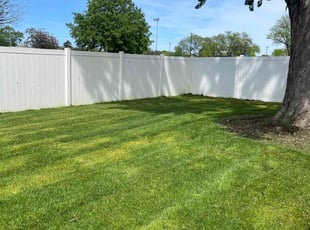 Bernie P.'s Lawn Mowing service result