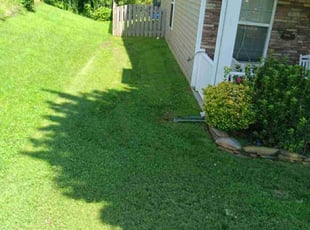 David P.'s Yard Cutting service result
