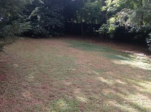 Leaf Removal by Antavious Douglas for Preston G. in Atlanta, GA