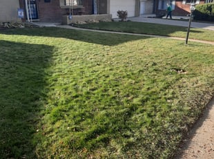 Leaf Removal by Mario Gonzales for Kristen L. in Wheat Ridge, CO
