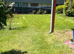 KRYSTAL P.'s Lawn Service service result