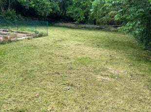 Cleanups by Ted Ostavitz for Elizabeth F. in Cincinnati, OH