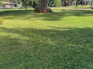 Jeffrey D.'s Lawn Mowing service result
