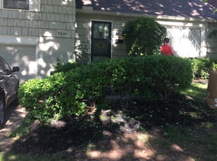 Bush Trimming by Darian Holmes for Mimi T. in Overland Park, KS
