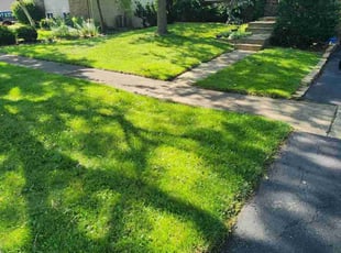 Linna G.'s Lawn Service service result