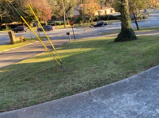 Leaf Removal by Bobbyp Goggins for Samer Z. in Atlanta, GA