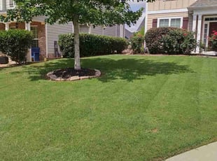 Farah R.'s Lawn Care service result