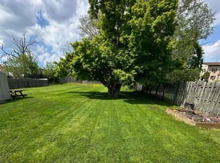 Quen W.'s Lawn Mowing service result