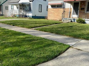 Shannon J.'s Lawn Maintenance service result