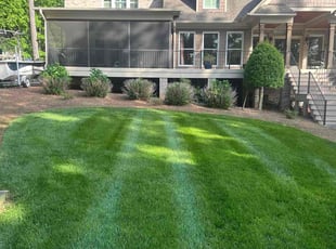 Sergi T.'s Lawn Care service result