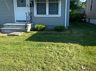Weeding by Tefel Rivera for Nathan J. in Cleveland, OH
