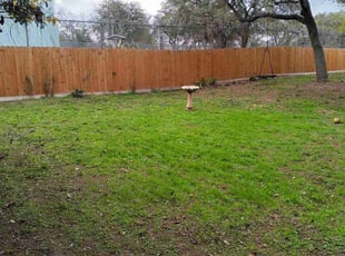 Cleanups by Mark Carrizales for Cristy C. in Helotes, TX