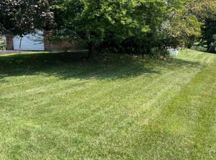 Melissa F.'s Lawn Service service result