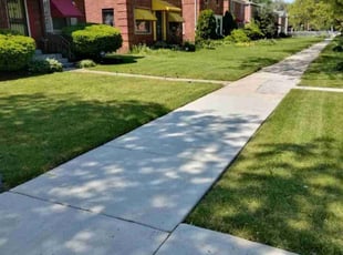 Victor F.'s Grass Cutting service result