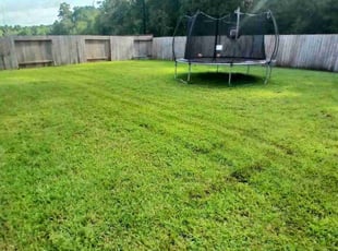 Jared S.'s Lawn Mowing service result